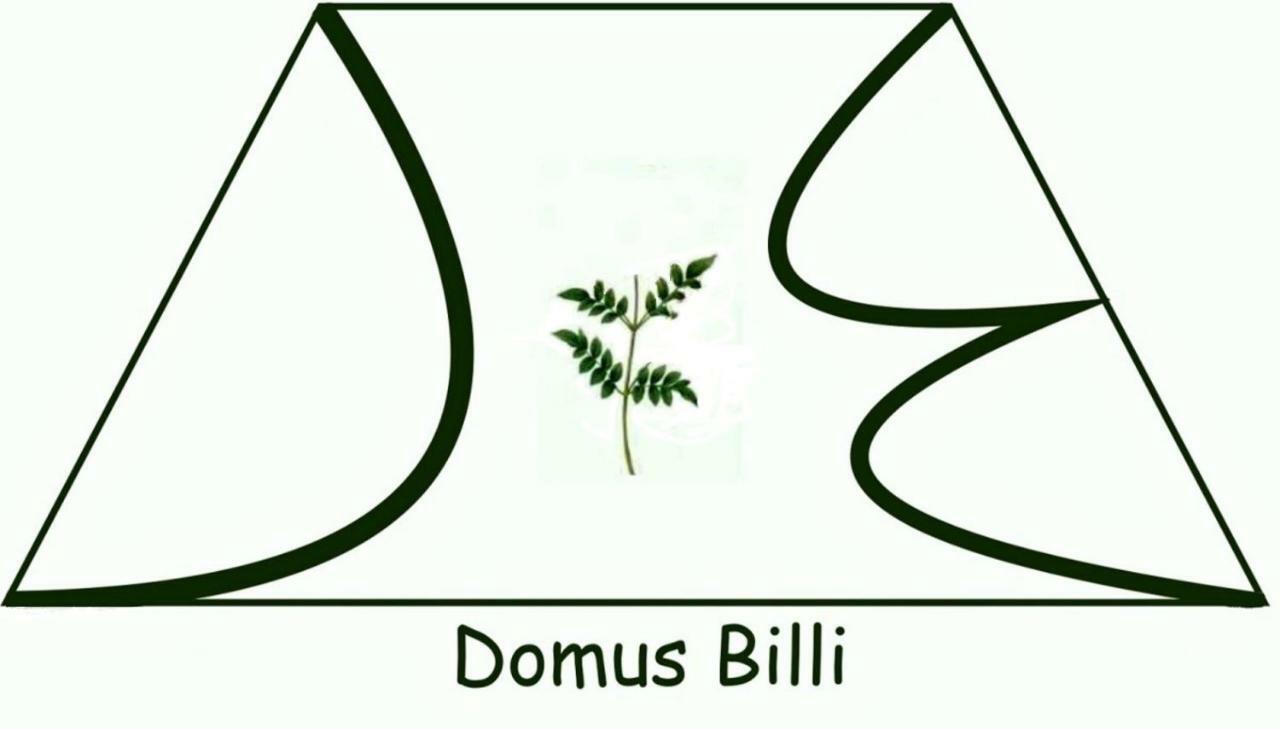Domus Billi Βίλα Παλέρμο Εξωτερικό φωτογραφία